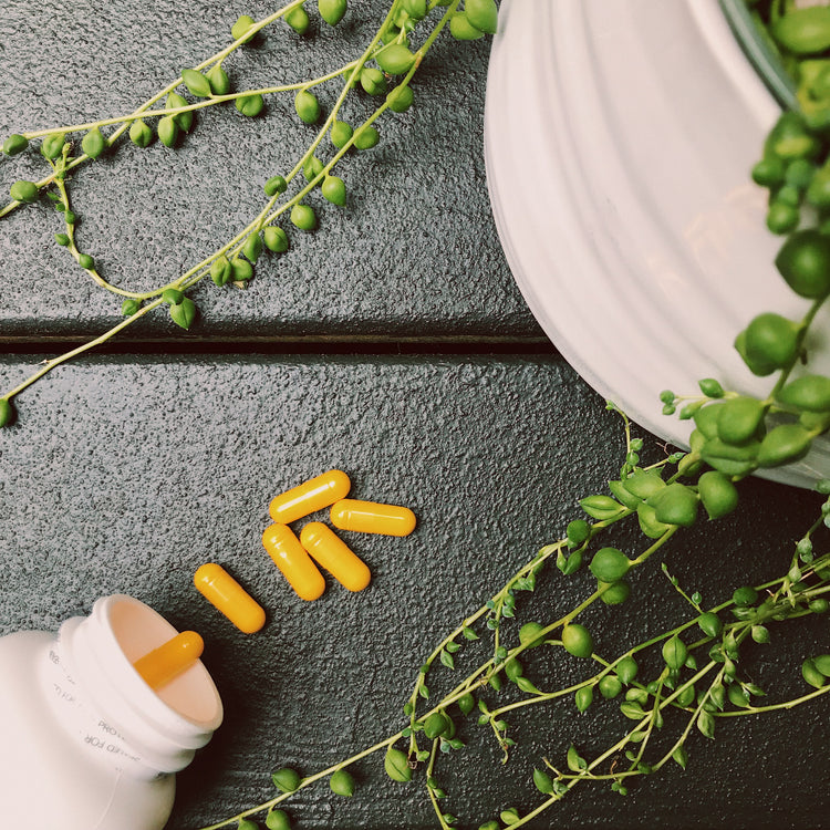 Blog of Everything You Need to Know About Folate for Pregnancy: Benefits, Differences, Deficiency, and Sources which have image Everything You Need to Know About Folate for Pregnancy: Benefits, Differences, Deficiency, and Sources
