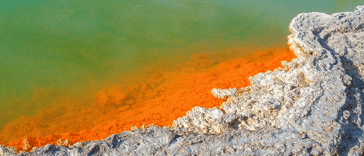 Blog of The Risks of Silent Reflux and How to Avoid It During the Holidays which have image picture of acidic water corroding shore