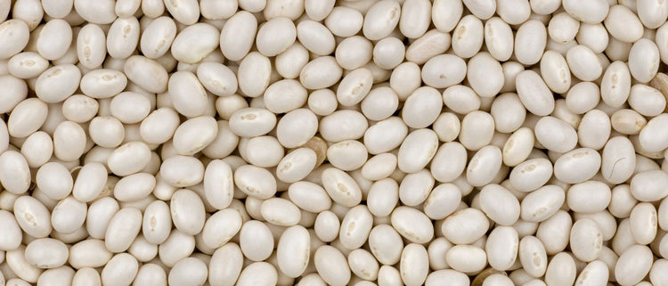 Blog of The Best Molybdenum Foods to Neutralize Sulfites and Optimize Detox which have image white beans