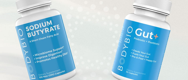 Blog of Your Gut+ and Butyrate Start Guide: Timing, Dosage, Probiotics, and More which have image Gut plus get started guide
