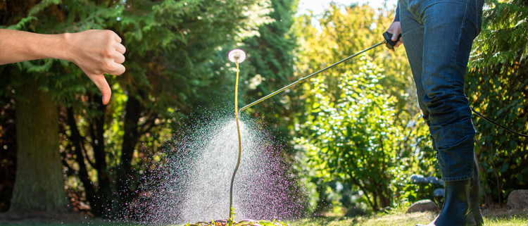 Blog of The Dangers of Glyphosate and How to Protect Yourself from Toxicity which have image The Dangers of Glyphosate and How to Protect Yourself from Toxicity