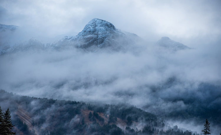 Blog of What is Brain Fog? How to Support Brain Health & Think Clearly Again which have image mountain shrouded in fog