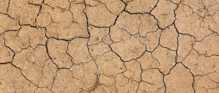 Blog of Dehydration from Alcohol: How to Bounce Back from a Hangover (Or Prevent One) which have image dry cracked dirt