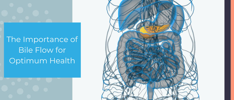 Blog of Improve Your Bile Function: The Importance of Bile Flow for Optimal Health which have image Improve Your Bile Function: The Importance of Bile Flow for Optimal Health