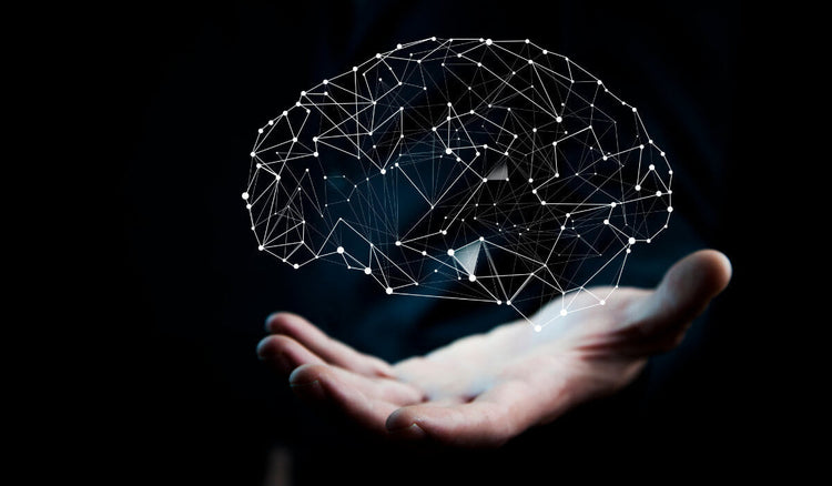 Blog of What Is TUDCA, What are its Benefits, & Why Does it Matter for My Health? which have image hand holding a computerized image of a brain