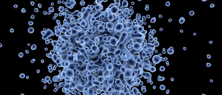 Blog of Reboot Your Cells: Understanding Cell Danger Response & Mitochondrial Dysfunction which have image cell illustration