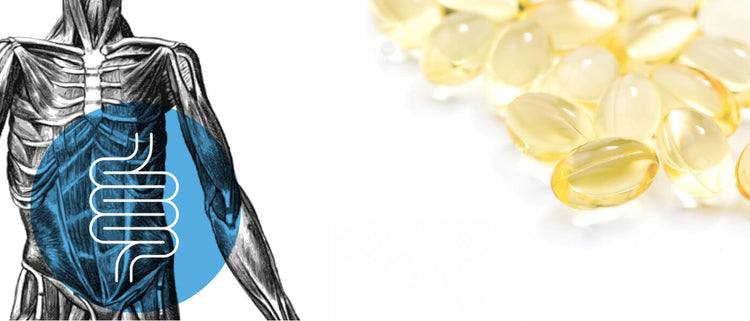 Blog of Increase Your Vitamin D Absorption by Improving Your Gut Health which have image improve vitamin D absorption by improving your gut health