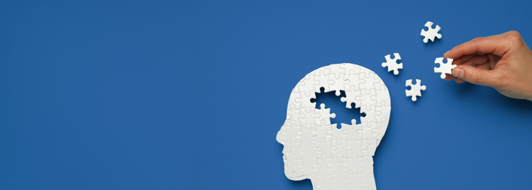 Blog of How to Improve Brain Function & Memory: Techniques, Habits, & Supplements which have image How to Improve Brain Function & Memory: Techniques, Habits, & Supplements