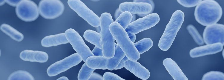 Blog of Digestive Enzymes vs. Probiotics: What’s the Difference & Which One Do You Need? which have image  A close-up 3D-rendered illustration of rod-shaped bacteria floating in a blue environment. 