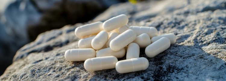 Blog of TUDCA vs. Ox Bile: What’s Right for Your Liver? which have image A pile of white capsules lies on a textured gray rock outdoors.