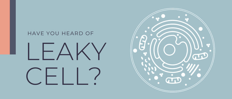 Blog of Leaky Cells: How Fewer Nutrients, More Toxins, and Too Much Stress Hurts Your Cells which have image Leaky Cells: How Fewer Nutrients, More Toxins, and Too Much Stress Hurts Your Cells