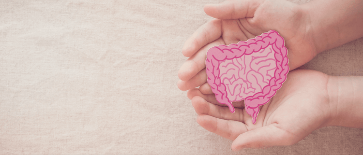 Blog of 7 Legit Hacks to Heal Your Gut and Feel Your Best which have image 7 Legit Hacks to Heal Your Gut and Feel Your Best